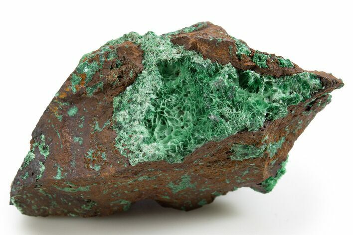 Fibrous Malachite and Rhombohedral Calcite on Limonite - Mexico #330593